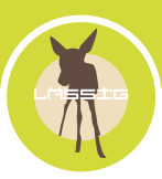Lassig