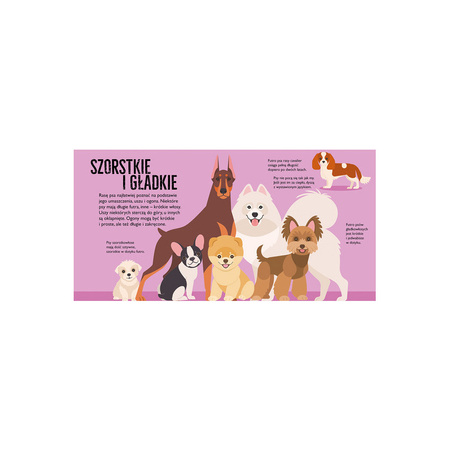 Psy pop-up – interaktywna książka przestrzenna o psach dla dzieci 3+