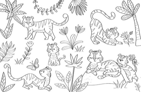 Auzou Duża kolorowanka Zwierzęta świata