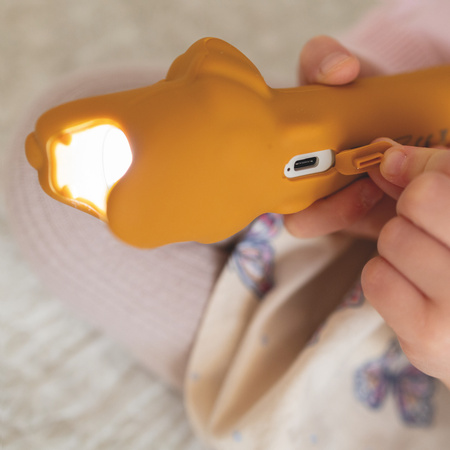 Rabbit & Friends Latarka Lew LEO