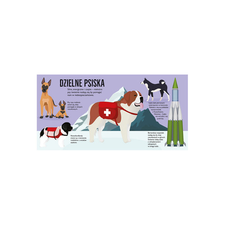 Psy pop-up – interaktywna książka przestrzenna o psach dla dzieci 3+