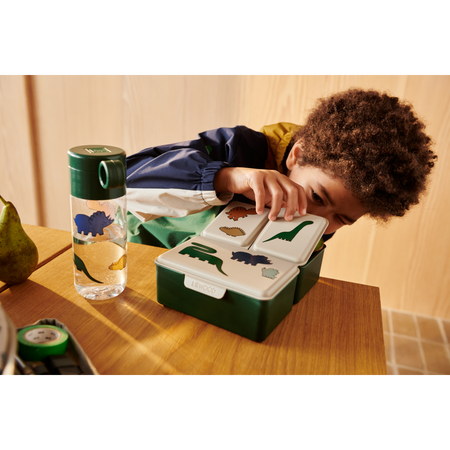 Liewood lunchbox, śniadaniówka Dinosaurs / Mist