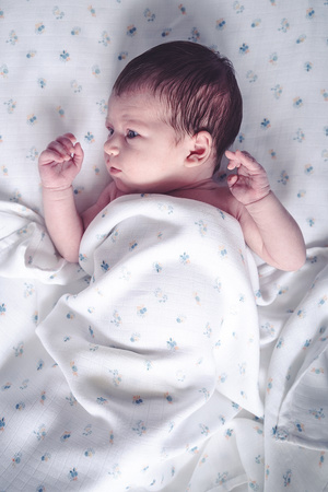 Snap the moment Otulacz Muślinowy Blueberry Dream 2-pack