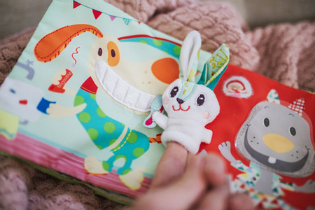 Książeczka z mini-pacynką wielofunkcyjna Królik dentysta