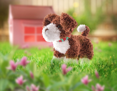 Our generation Szczeniaczek z regulowanymi kończynami – Portuguese Water Pup