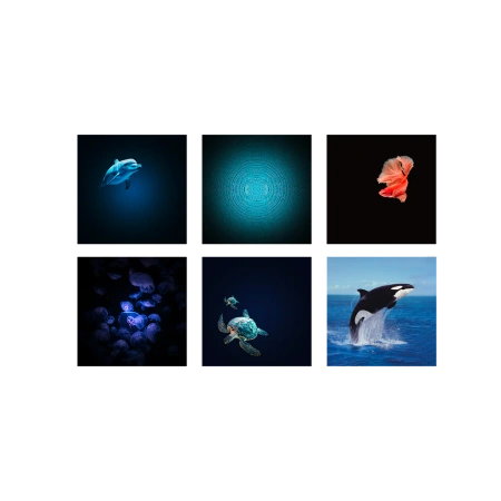 Kidywolf Projektor Ścienny Ocean Kidystar – projektor 360° z muzyką, Bluetooth i dyskami podwodnego świata