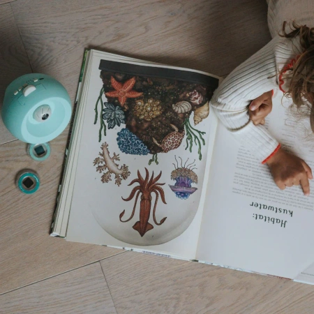 Kidywolf Projektor Ścienny Ocean Kidystar – projektor 360° z muzyką, Bluetooth i dyskami podwodnego świata