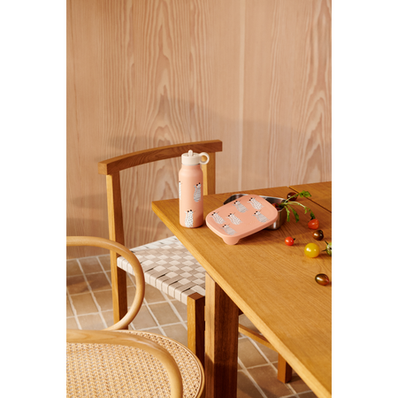 Liewood lunchbox Arthur printed Cat