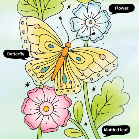 mideer Kolorowanka akwarelowa mideer –Kwiaty