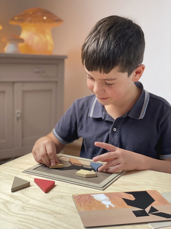 Egmont Toys – Gra magnetyczna Tangram - Logiczna układanka edukacyjna dla dzieci