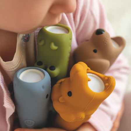 Rabbit & Friends Latarka Lew LEO