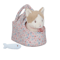 Kot