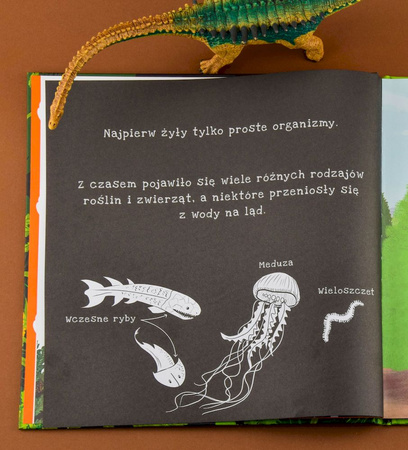 Dinozaury. Podświetl i Odkryj