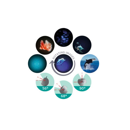 Kidywolf Projektor Ścienny Ocean Kidystar – projektor 360° z muzyką, Bluetooth i dyskami podwodnego świata