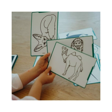 Kidywolf - pad rysunkowy z ekranem LCD wzór: Zwierząt dookoła świata