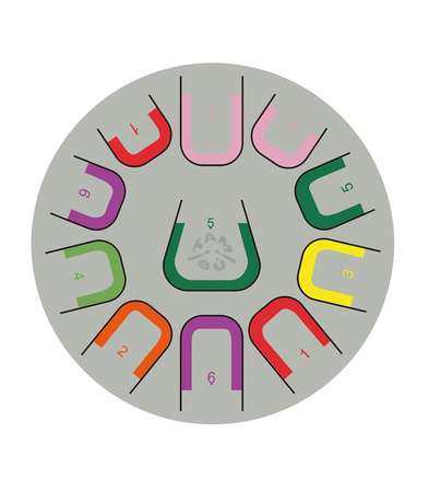 Tambú + 10 cali - duży bębenek językowy 11 tonowy miętowy - instrument muzyczny
