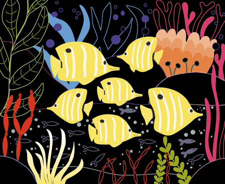 Auzou Wydrapywanka Ocean 5+