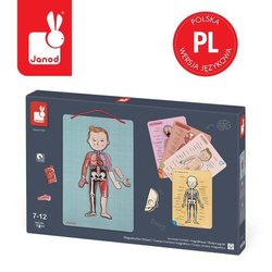 Układanka magnetyczna Ciało człowieka