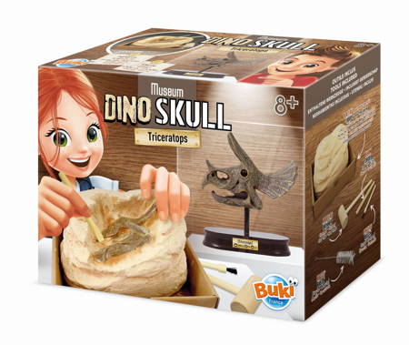 Buki Muzeum czaszek dinozaura - TRICERATOPS